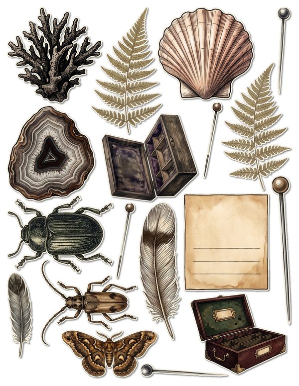 Ephemera Kit: 84 Printable Cards, Tags and Word Strips - Cabinet of Curiosities - Commercial Use — image 47