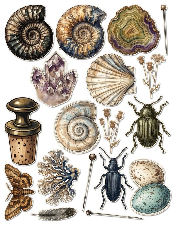 Ephemera Kit: 84 Printable Cards, Tags and Word Strips - Cabinet of Curiosities - Commercial Use — image 48