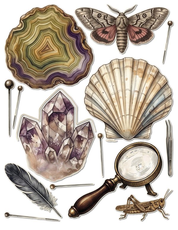 Fussy Cut Stickers: 18 Printable Ephemera Sheets - Cabinet of Curiosities - Commercial Use — image 4