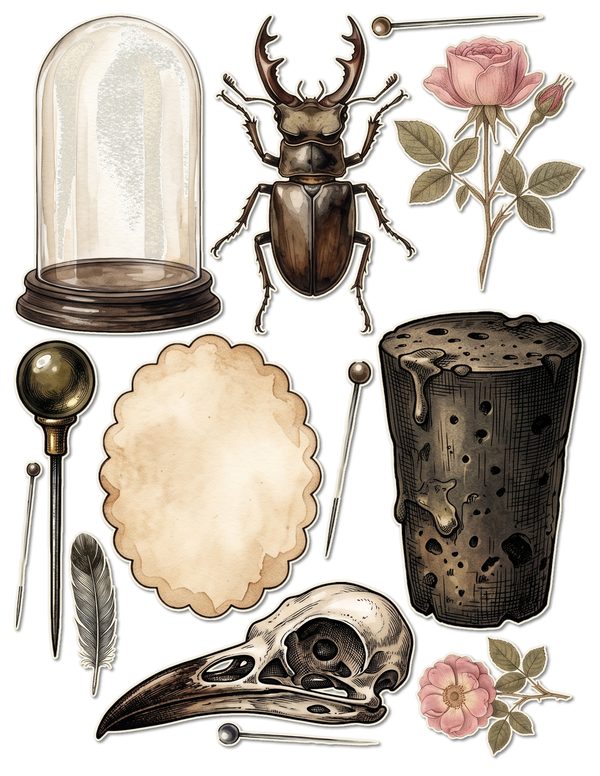 Fussy Cut Stickers: 18 Printable Ephemera Sheets - Cabinet of Curiosities - Commercial Use — image 8