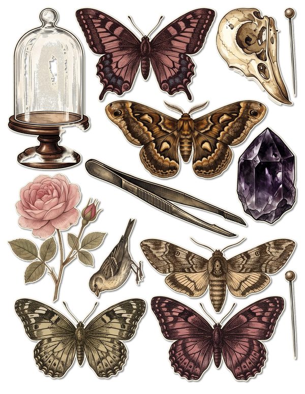 Fussy Cut Stickers: 18 Printable Ephemera Sheets - Cabinet of Curiosities - Commercial Use — image 12