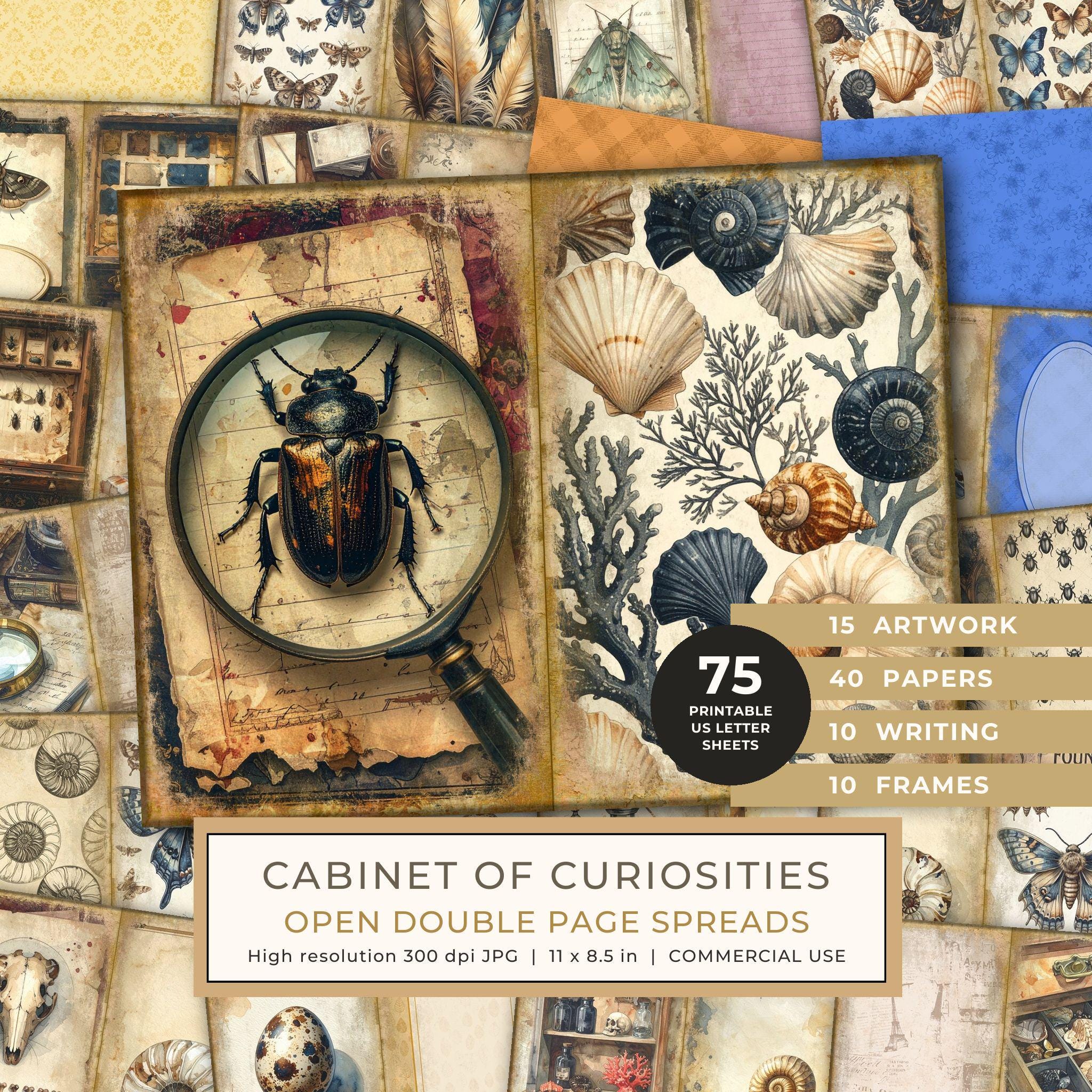 Junk Journal Spreads: 75 Open Book Planner Pages - Cabinet of Curiosities - Commercial Use