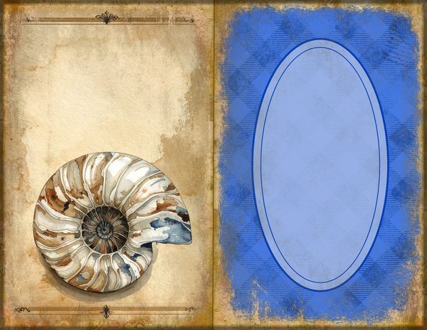 Junk Journal Spreads: 75 Open Book Planner Pages - Cabinet of Curiosities - Commercial Use — image 26