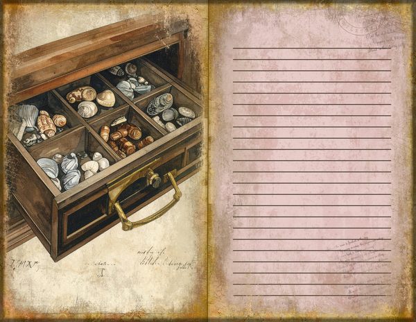 Junk Journal Spreads: 75 Open Book Planner Pages - Cabinet of Curiosities - Commercial Use — image 36