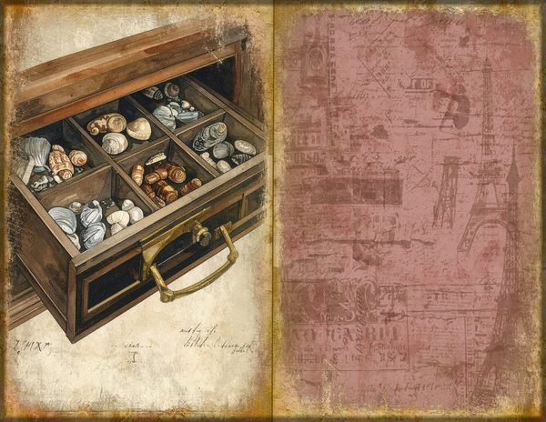 Junk Journal Spreads: 75 Open Book Planner Pages - Cabinet of Curiosities - Commercial Use — image 46