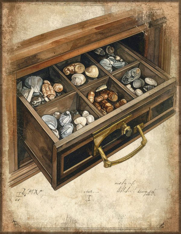 Junk Journal Pages: 150 Printable Sheets - Cabinet of Curiosities - Commercial Use — image 4