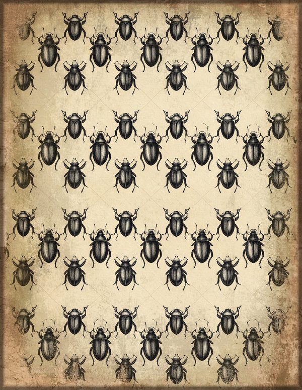 Junk Journal Pages: 150 Printable Sheets - Cabinet of Curiosities - Commercial Use — image 5