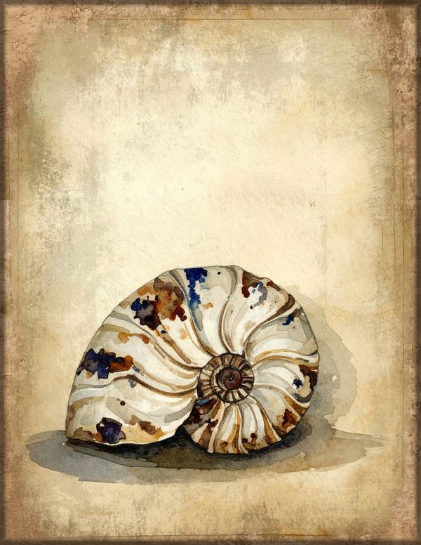 Junk Journal Pages: 150 Printable Sheets - Cabinet of Curiosities - Commercial Use — image 43