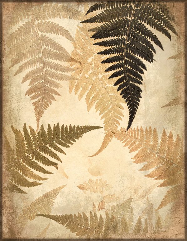 Junk Journal Pages: 150 Printable Sheets - Cabinet of Curiosities - Commercial Use — image 72