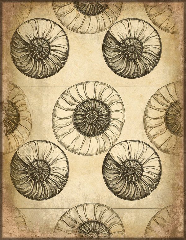 Junk Journal Pages: 150 Printable Sheets - Cabinet of Curiosities - Commercial Use — image 75