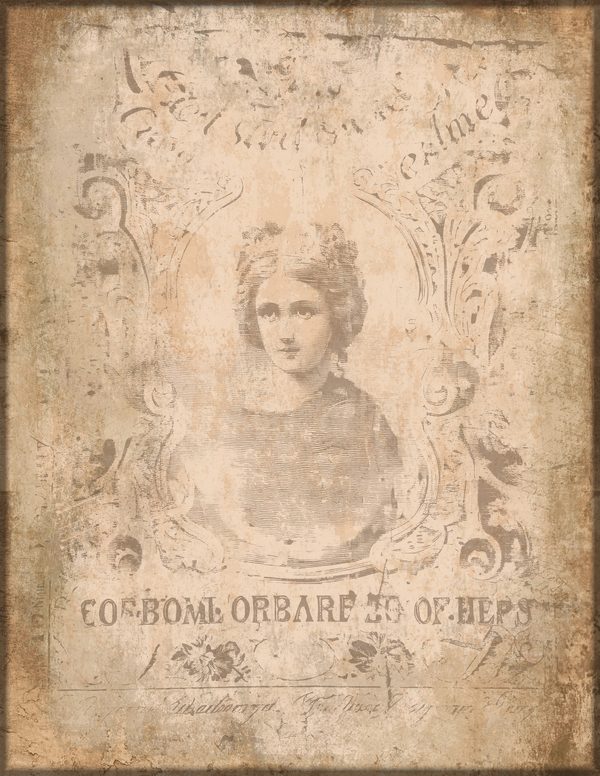Journal Writing Pages: 50 Lined Frames and Textures - Cabinet of Curiosities - Commercial Use — image 41