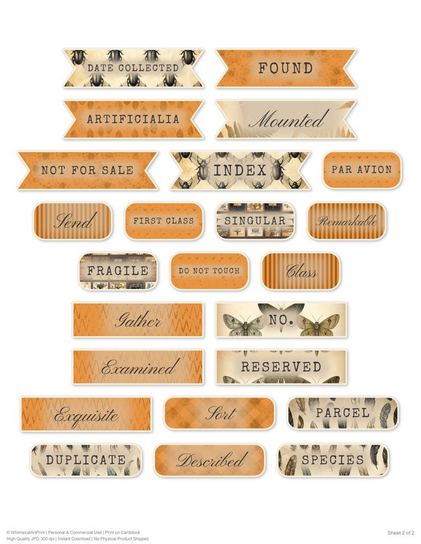 Word Strips and Labels: 16 Printable Journaling Sheets - Cabinet of Curiosities - Commercial Use — image 3