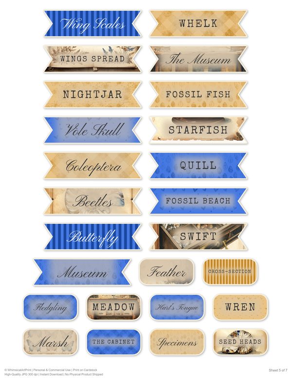 Word Strips and Labels: 16 Printable Journaling Sheets - Cabinet of Curiosities - Commercial Use — image 9