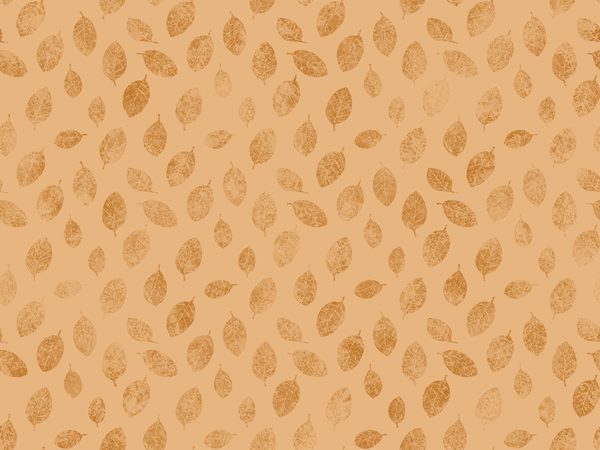 Watercolor Floral Frame Digital Paper: Amber and Silver Borders (Digital Download) — image 27