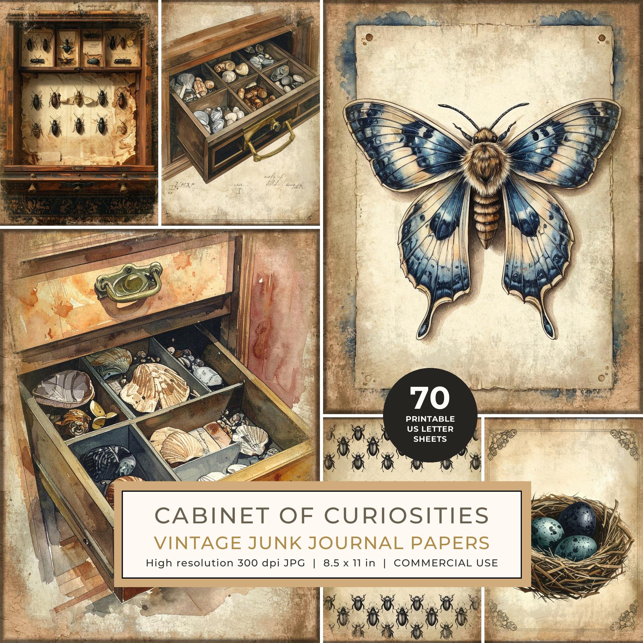 Junk Journal Papers: Printable Vintage Pages - Cabinet of Curiosities - Commercial Use