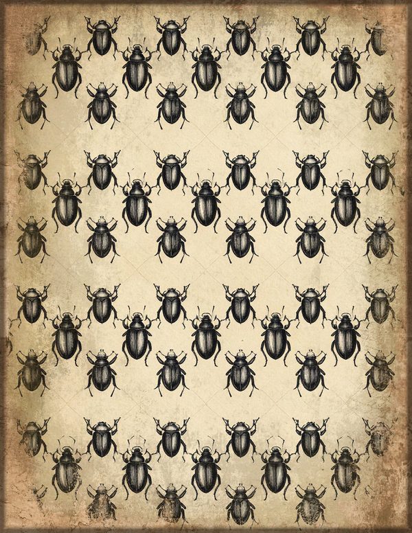 Junk Journal Papers: Printable Vintage Pages - Cabinet of Curiosities - Commercial Use — image 5